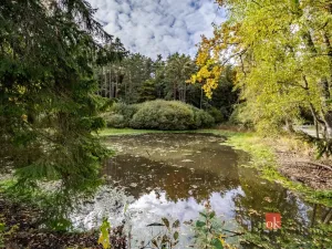 Prodej pozemku, Chlum u Třeboně - Žíteč, 64790 m2