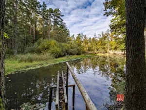 Prodej pozemku, Chlum u Třeboně - Žíteč, 64790 m2