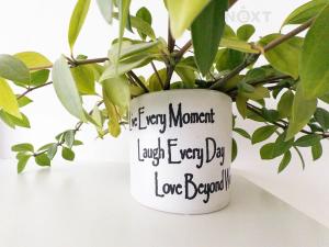 Pronájem bytu 1+kk, Jilemnice, Metyšova, 42 m2