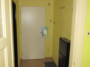 Pronájem bytu 1+1, Plzeň, Sladkovského, 42 m2