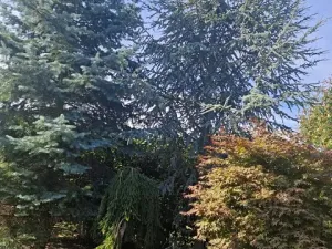 Prodej chalupy, Uherský Brod, Brodská, 378 m2