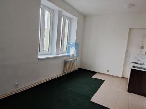 Pronájem bytu 1+kk, Plzeň, Černická, 28 m2