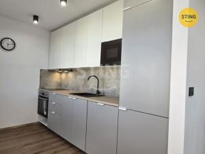 Pronájem bytu 1+kk, Krnov, SPC E, 40 m2