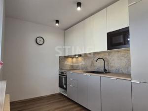 Pronájem bytu 1+kk, Krnov, SPC E, 40 m2