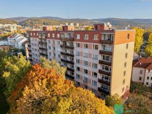 Prodej bytu 1+1, Litvínov, Čapkova, 36 m2