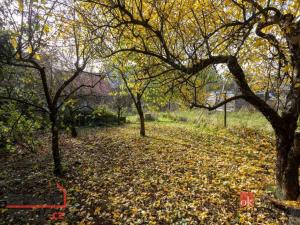 Prodej rodinného domu, Bohdalec, 160 m2