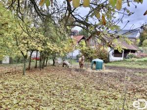 Prodej rodinného domu, Stříbrná Skalice - Hradové Střimelice, 220 m2