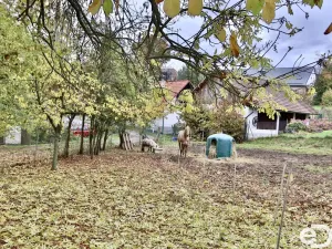 Prodej rodinného domu, Stříbrná Skalice - Hradové Střimelice, 220 m2