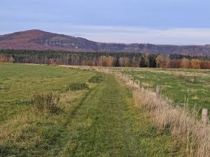 Prodej rodinného domu, Labská Stráň, 350 m2