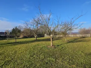 Prodej rodinného domu, Labská Stráň, 350 m2