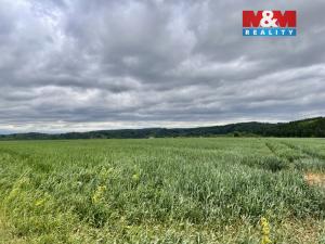 Prodej pole, Měcholupy - Želeč, 22965 m2