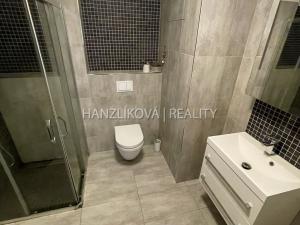 Pronájem bytu 2+kk, České Budějovice - České Budějovice 2, Volejbalistů, 56 m2