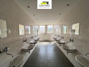 Pronájem skladu, Ústí nad Labem - Krásné Březno, Přístavní, 1173 m2