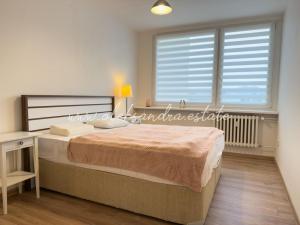 Pronájem bytu 3+1, Praha - Troja, Svídnická, 68 m2