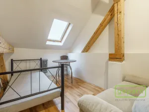 Prodej apartmánu, Sokolov, Svatopluka Čecha, 596 m2