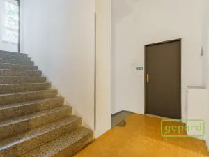 Prodej apartmánu, Sokolov, Svatopluka Čecha, 596 m2