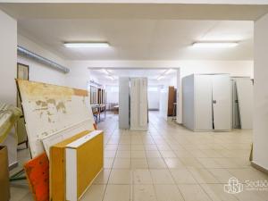 Prodej výrobních prostor, Krásno, Kladenská, 4900 m2