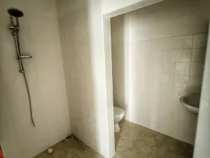 Pronájem bytu 1+kk, Strašice, 50 m2