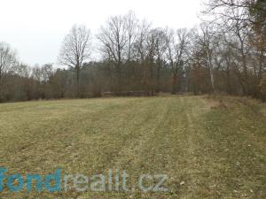 Prodej pole, Zvěstov, 51947 m2