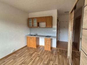 Prodej bytu 1+kk, Karlovy Vary, Východní, 21 m2