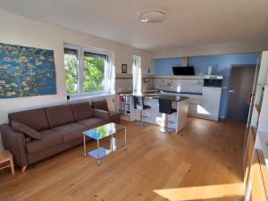 Prodej bytu 2+kk, Plasy, 56 m2