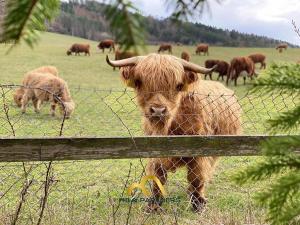 Pronájem rodinného domu, Čím, 110 m2