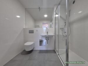 Pronájem bytu 2+kk, Praha - Chodov, Čenětická, 48 m2