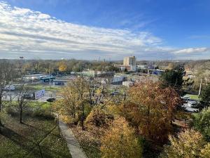 Pronájem bytu 1+kk, Ostrava, Hornopolní, 33 m2