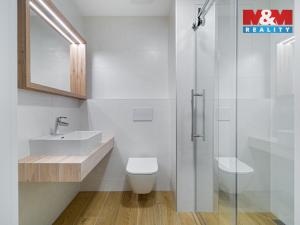 Pronájem bytu 1+kk, Olomouc, Wolkerova, 33 m2