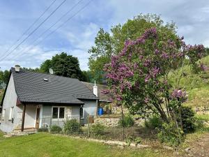 Prodej rodinného domu, Horní Stropnice, 85 m2