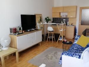 Pronájem bytu 1+kk, Olomouc - Hodolany, Kavaleristů, 26 m2