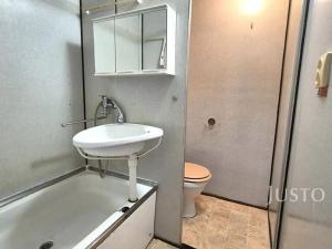 Pronájem bytu 1+1, Písek, nábřeží 1. máje, 39 m2