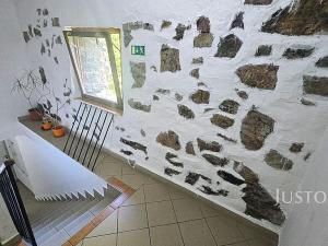 Prodej ubytování, Písek, V Koutě, 786 m2