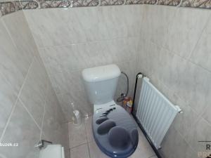 Pronájem rodinného domu, Komárov, 120 m2