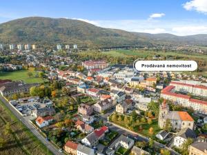 Prodej vícegeneračního domu, Osek, K. H. Borovského, 452 m2