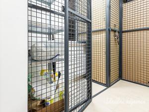 Pronájem bytu 1+kk, Praha - Hloubětín, Konzumní, 18 m2