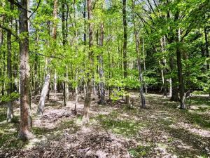 Prodej činžovního domu, Rosovice, 900 m2