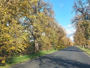 Prodej komerčního pozemku, Měšice, 2035 m2