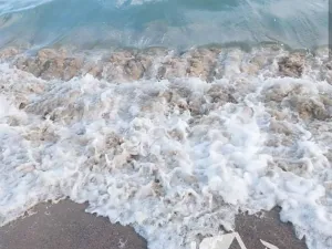 Prodej bytu 2+kk, Nesebar, Bulharsko, 63 m2