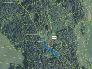 Dražba lesa, Lačnov, 1723 m2