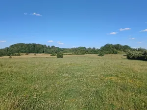 Dražba pozemku, Bohatice, 781 m2