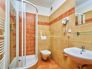 Prodej ubytování, Český Krumlov, Rooseveltova, 270 m2