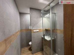 Pronájem bytu 1+1, Otrokovice, Školní, 30 m2