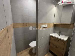 Pronájem bytu 1+1, Otrokovice, Školní, 30 m2