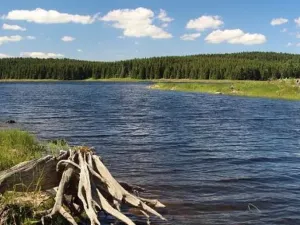 Prodej chalupy, Nová Ves v Horách, 284 m2