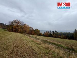 Prodej lesa, Jestřebí, 6855 m2