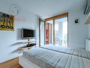 Prodej bytu 2+kk, Praha - Žižkov, Havlíčkovo náměstí, 60 m2