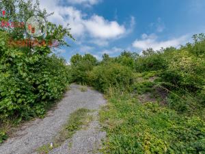 Prodej pozemku pro bydlení, Kly, 7065 m2