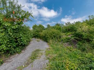 Prodej pozemku pro bydlení, Kly, 7065 m2