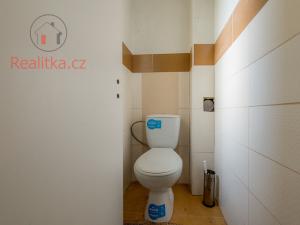 Prodej rodinného domu, Štětí - Brocno, 140 m2